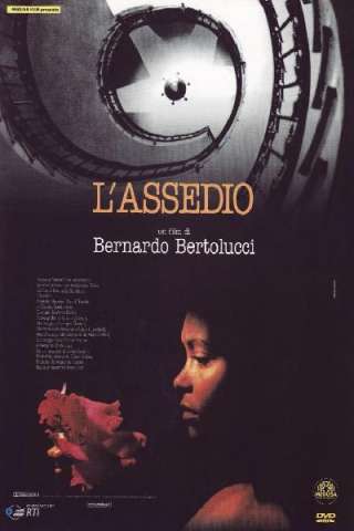 L'assedio (1998) streaming