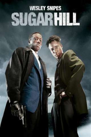 Scacco al re nero (1994) streaming