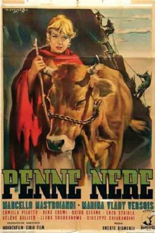 Penne nere (1952) streaming