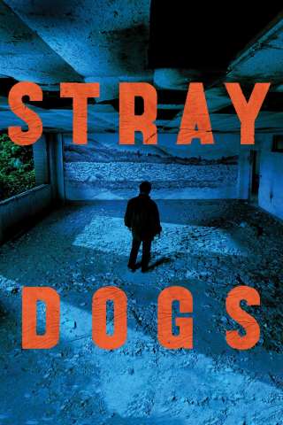 Stray Dogs (2014) streaming
