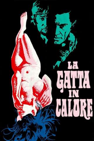 La gatta in calore (1972) streaming